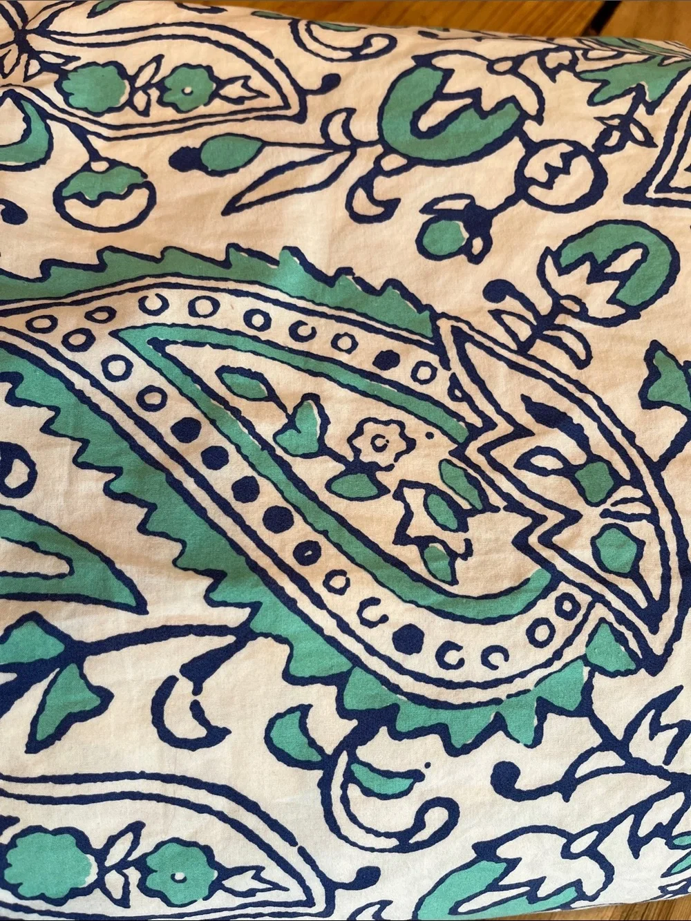 PB TEEN (Pottery Barn) *Twin* Turquoise Blue Tea Paisley Printed Duvet Cover